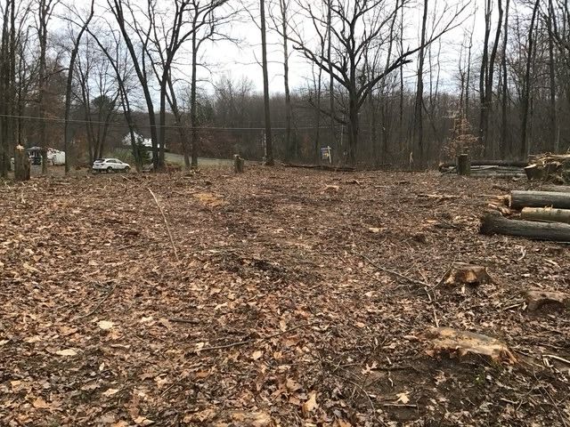 Wooded lot after the trees came down, with stumps and brush still to go