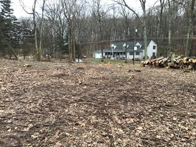 Wooded lot cleared to the ground, with the cut logs stacked at the edge